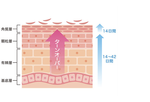 アンチエイジングイメージ